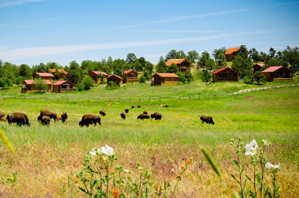 فندق Zion Mountain Ranch ماونت كارمل جونكتشن المظهر الخارجي الصورة