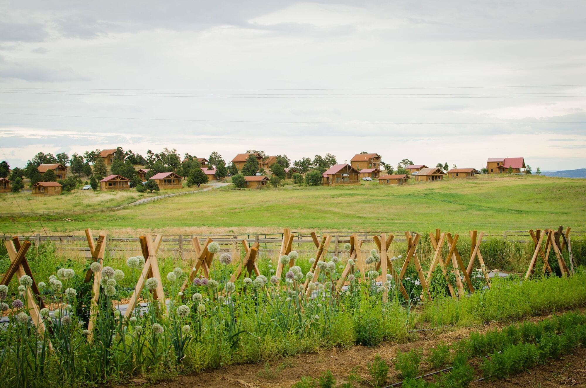 فندق Zion Mountain Ranch ماونت كارمل جونكتشن المظهر الخارجي الصورة